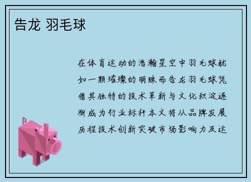 告龙 羽毛球