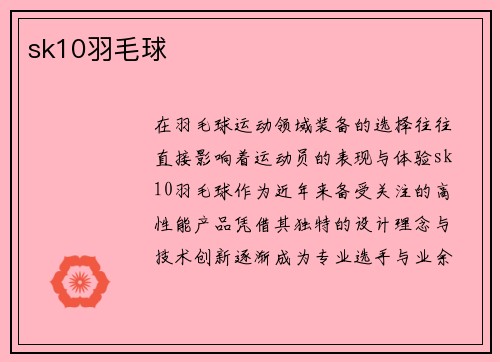sk10羽毛球