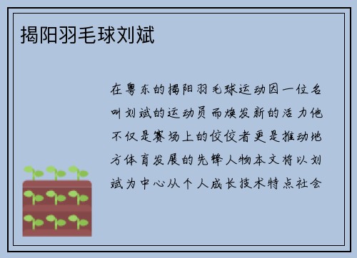 揭阳羽毛球刘斌