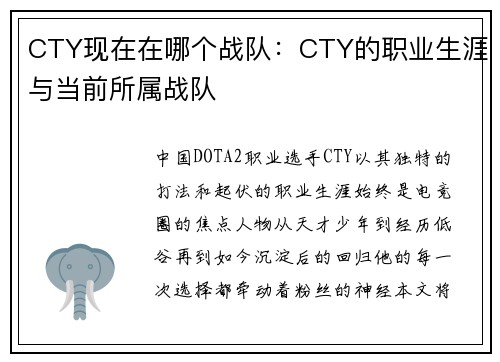 CTY现在在哪个战队：CTY的职业生涯与当前所属战队