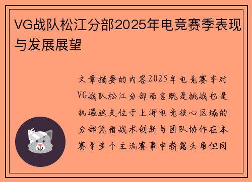 VG战队松江分部2025年电竞赛季表现与发展展望